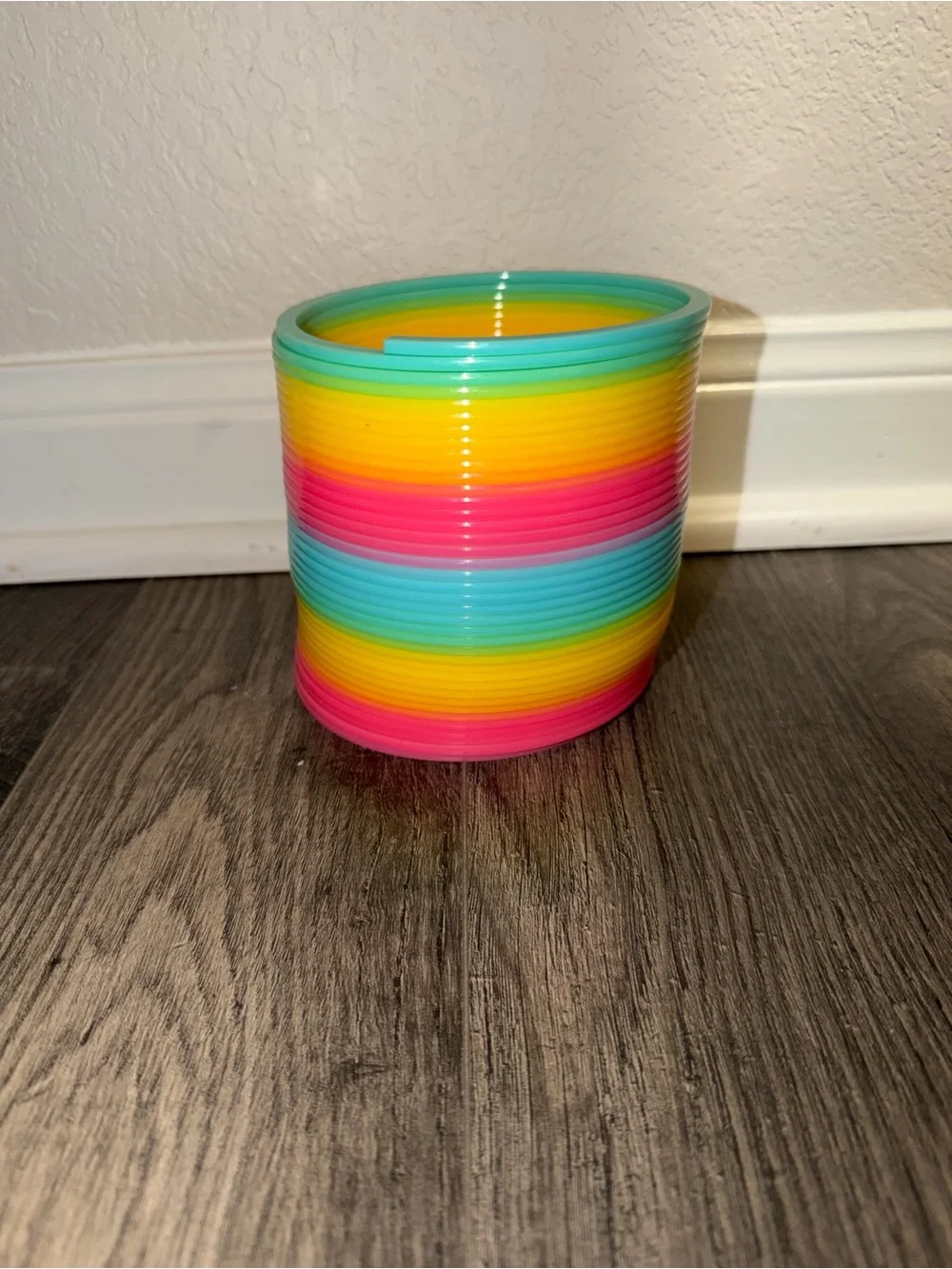 Large Rainbow Slinky Toy